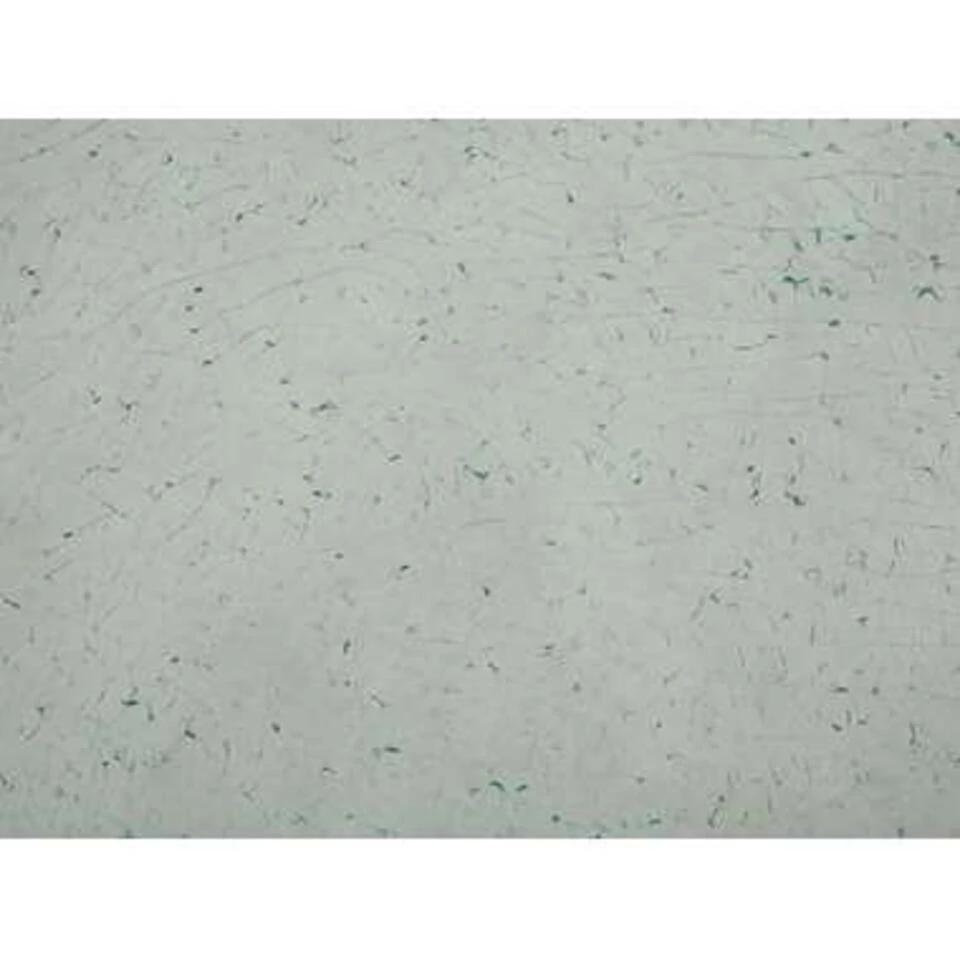 Beliani Eettafel GROSSETO - Transparant Veiligheidsglas, Rvs - Afbeelding 3